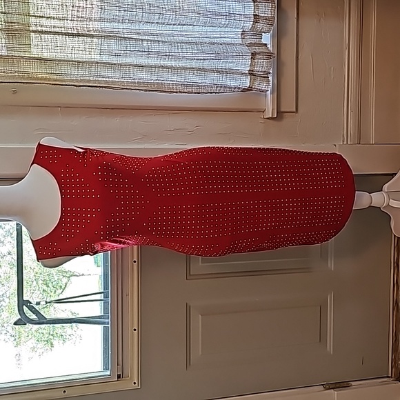 Calvin Klein Dresses & Skirts - NWOT Calvin Klein Womans Size 2 stunning Red dress with embellishments.